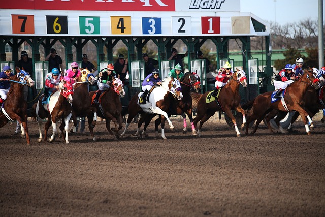 Horse racing tips for Australian punters