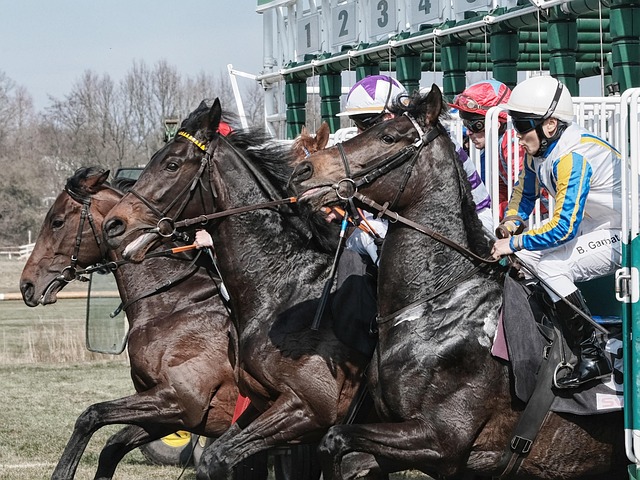 Horse racing tips for Australian punters
