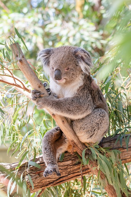 online-scratchies-australia-640x480-8682532.jpeg