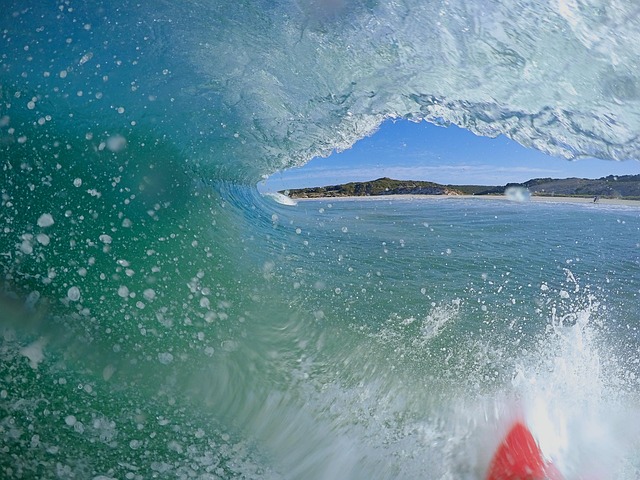 Popular sports to bet on in Australia