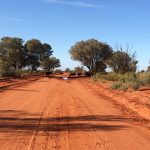 Unveiling Loyalty Rewards on Top Australian Gambling Sites