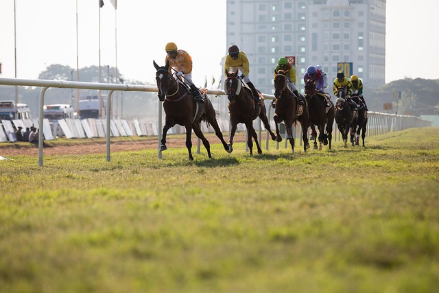 Trusted horse racing betting sites Australia