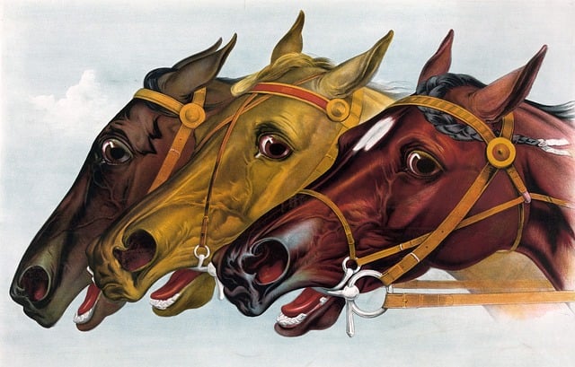 Trusted horse racing betting sites Australia