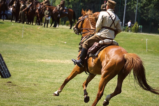 Trusted horse racing betting sites Australia