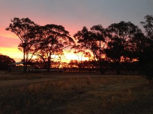 australian-sports-betting-tips-for-begin-640x480-54953794.jpeg