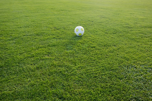 Best football betting sites Australia 2024