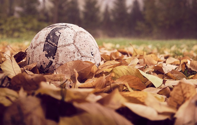 Best odds for Australian football betting