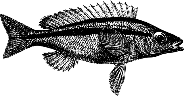 best-odds-for-australian-sports-bettors-640x480-44067784.png