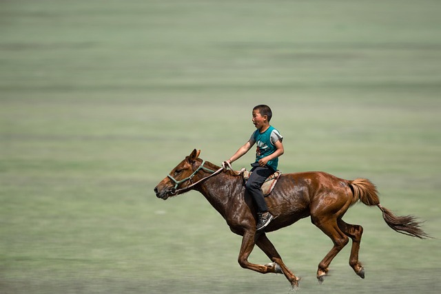best-odds-for-horse-racing-betting-austr-640x480-16584921.jpeg