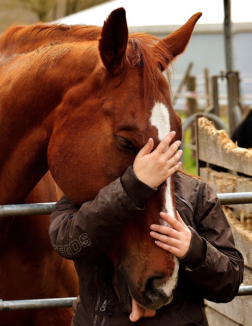 Best odds for horse racing betting Australia