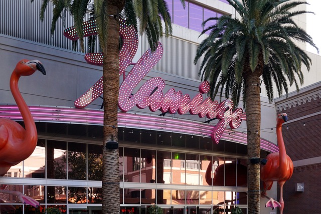 Best Online Casinos for Australians