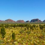Maximizing Wins: Seasonal Promotions for Best Payout Pokies in Australia