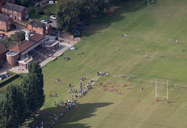 Best rugby betting sites in Australia