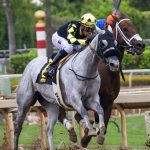 Mastering Australian Sports Betting: Top Strategies for Success