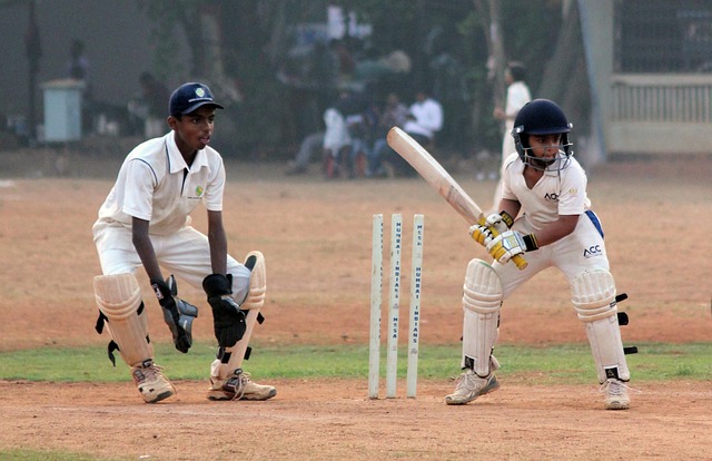 Betting on Australian cricket events 2024