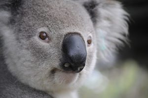 crypto-friendly-casinos-australia-640x480-77256195.jpeg