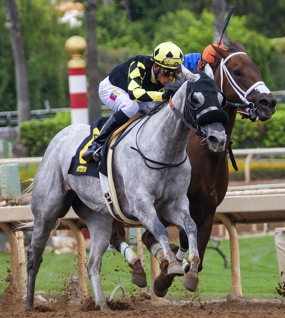 Exclusive Aussie sports betting tips and tricks
