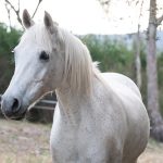 Unleashing High-Value Exclusive Promotions for Australian Sports Bettors