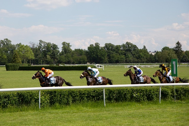 High payout horse racing betting Australia