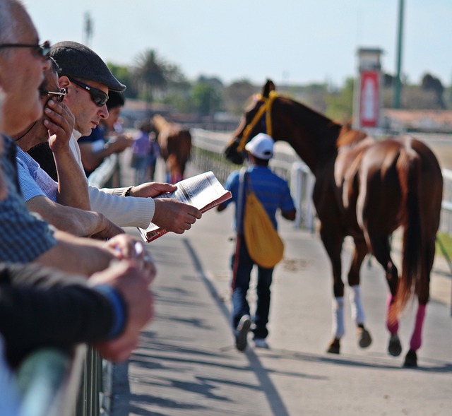 High payout horse racing betting Australia