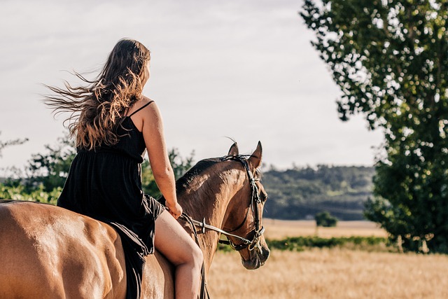 High payout horse racing betting Australia
