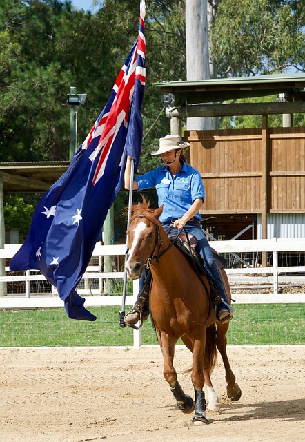 High-stakes sports betting sites Australia