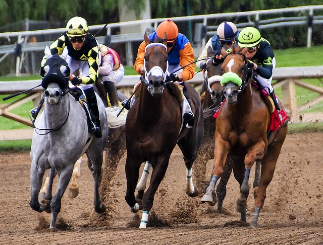horse-racing-tips-for-australian-punters-640x480-24681245.jpeg