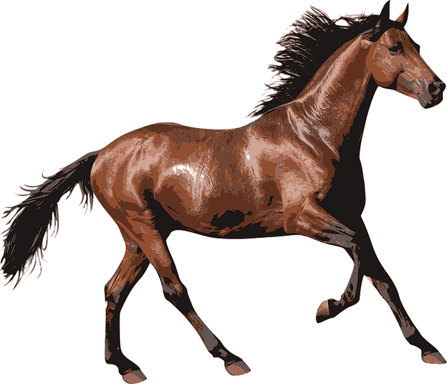 horse-racing-tips-for-australian-punters-640x480-5410631.png