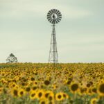 Navigating Safe Low Deposit Pokies Sites in Australia