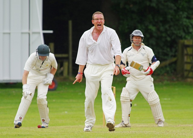 Online betting on cricket Australia