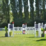 Mobile Horse Racing Apps: Top Bets for Australian Race Days