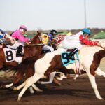 Mastering Online Horse Racing Betting in Australia