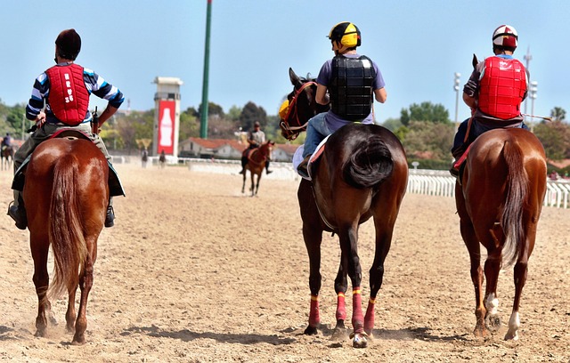 Online horse racing betting Australia
