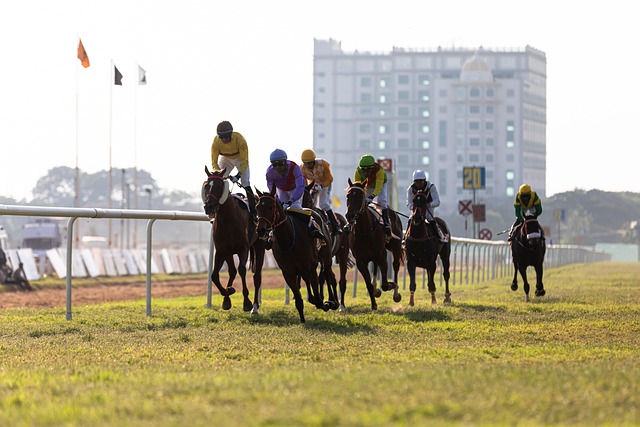 online-horse-racing-betting-australia-640x480-97735148.jpeg