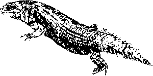 popular-australian-sports-betting-apps-640x480-7543970.png