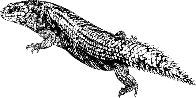 popular-australian-sports-betting-apps-640x480-7543970.png