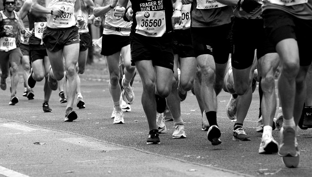 Popular Australian sports events for betting