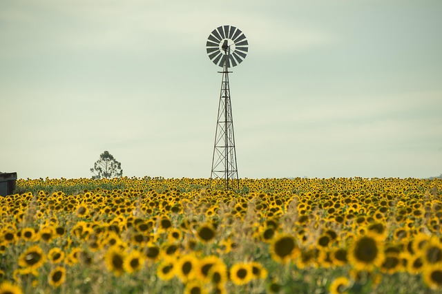 Popular progressive jackpots Australia