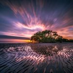 Secure Gambling Apps in Australia: Protecting Players with Top Features