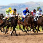 Top-Rated Australian Sports Betting Apps for Safe Wagers