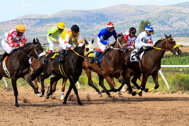 secure-sports-betting-sites-in-australia-640x480-66417860.jpeg