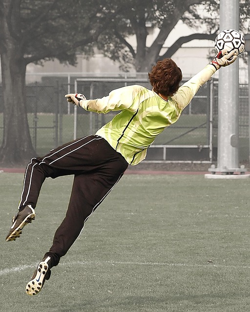 Top sports betting platforms for Australian players