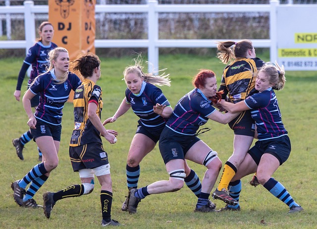 Trusted Australian betting platforms for rugby