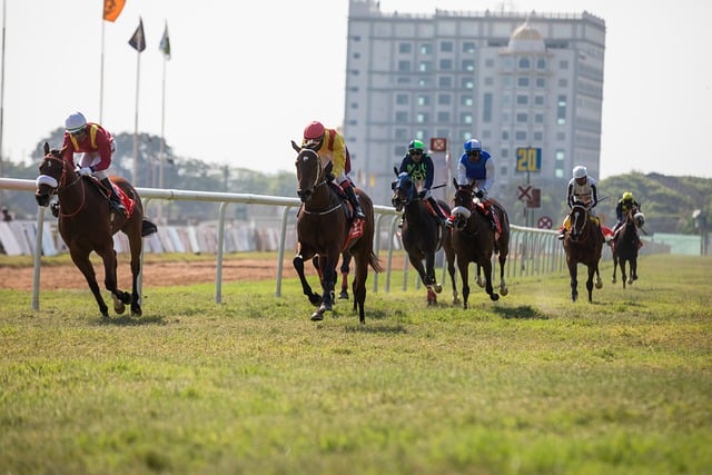 trusted-horse-racing-betting-sites-austr-640x480-50858409.jpeg