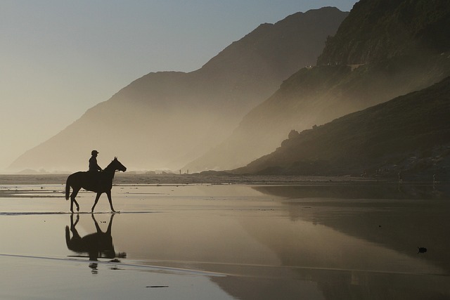 Trusted horse racing betting sites Australia