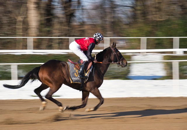 Trusted horse racing betting sites Australia