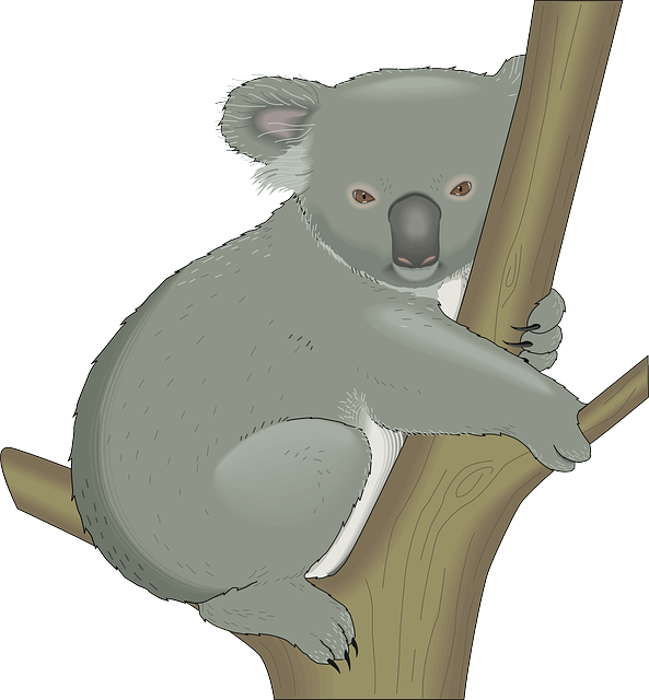 VIP bonuses for Australians