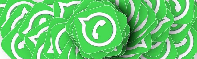 Best Aussie betting apps
