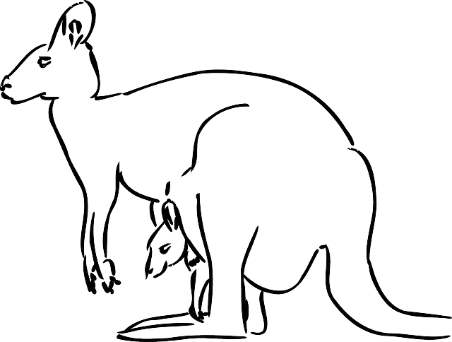 best-aussie-betting-apps-640x480-72295503.png