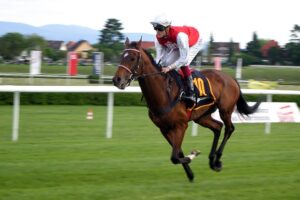 best-odds-for-horse-racing-betting-austr-640x480-12886685.jpeg